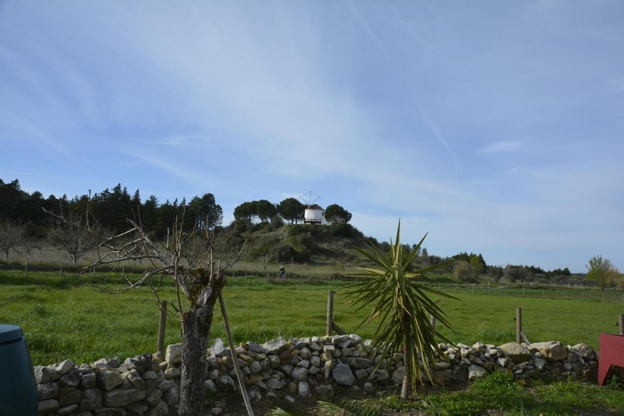 Casa Da Lima - Nestled In Nature On Santiago'S And Fatima'S Path, Close To Coimbra And Rabacal Alvorge Bagian luar foto