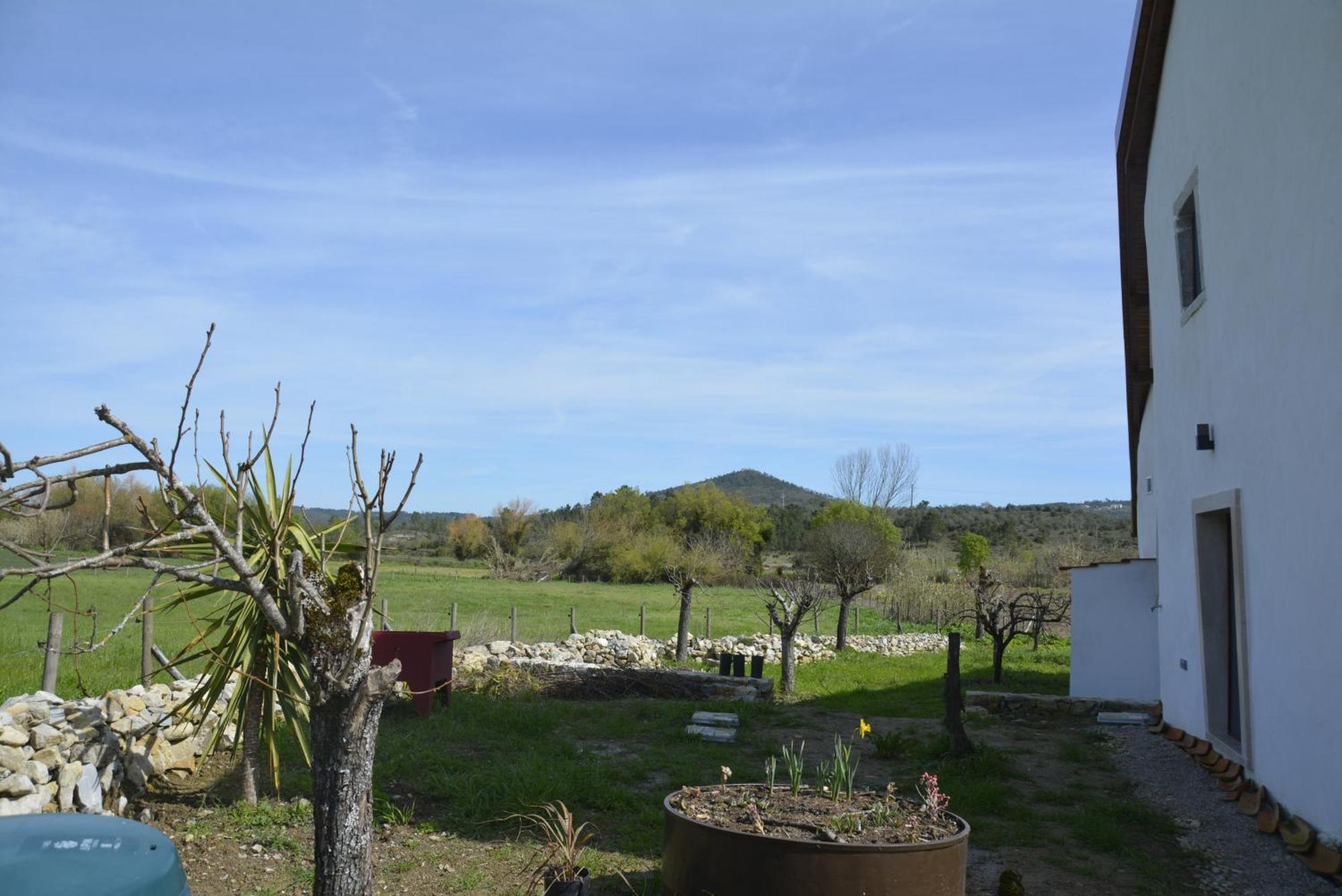 Casa Da Lima - Nestled In Nature On Santiago'S And Fatima'S Path, Close To Coimbra And Rabacal Alvorge Bagian luar foto