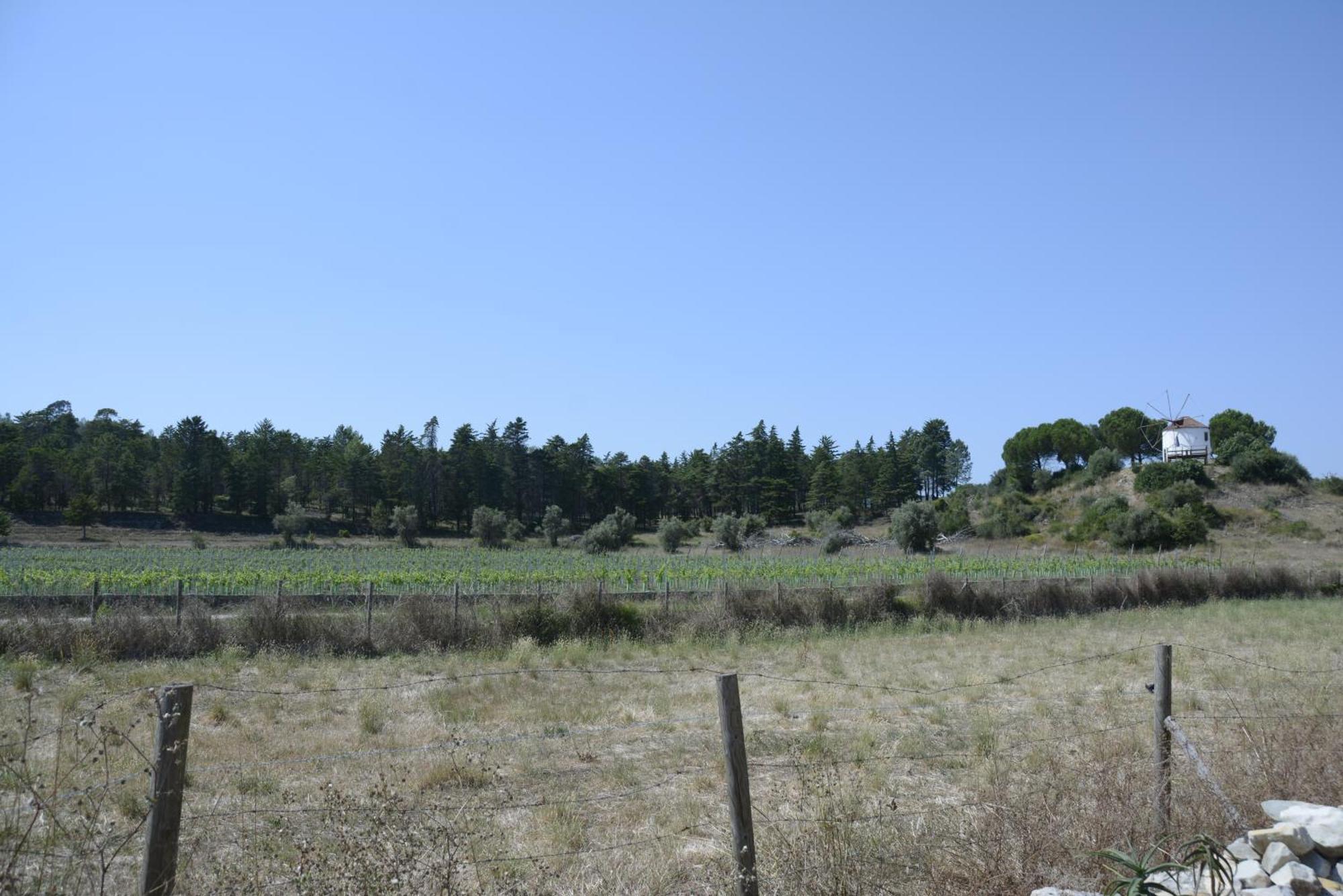 Casa Da Lima - Nestled In Nature On Santiago'S And Fatima'S Path, Close To Coimbra And Rabacal Alvorge Bagian luar foto