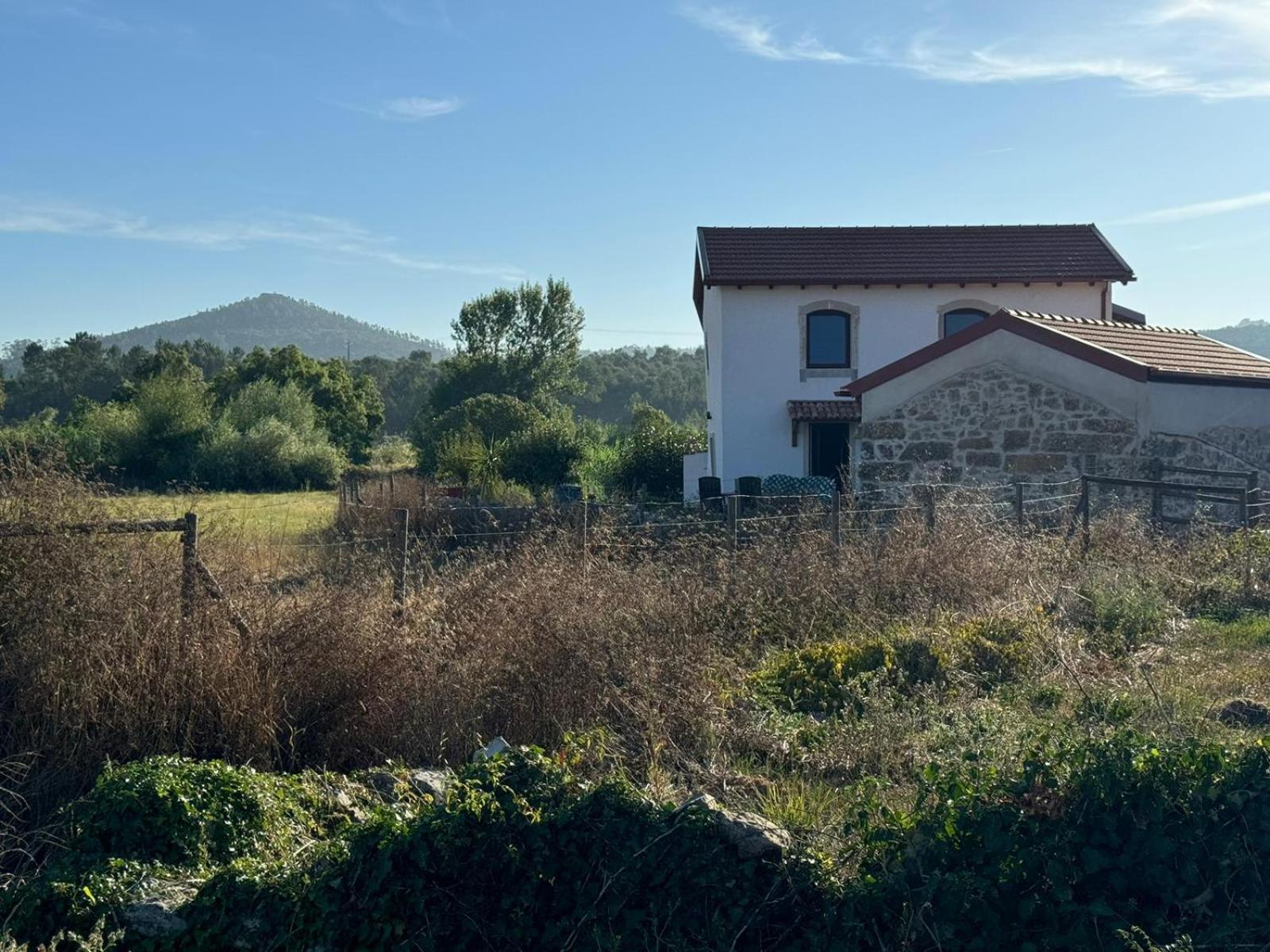 Casa Da Lima - Nestled In Nature On Santiago'S And Fatima'S Path, Close To Coimbra And Rabacal Alvorge Bagian luar foto