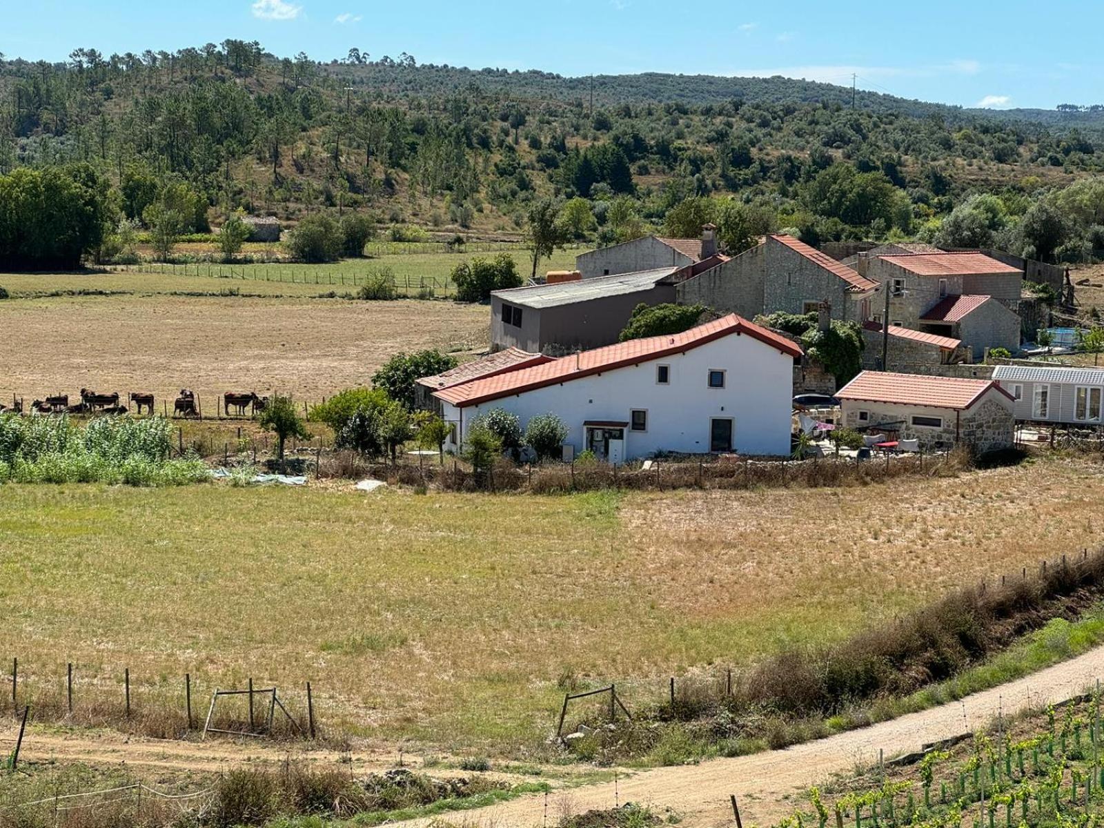 Casa Da Lima - Nestled In Nature On Santiago'S And Fatima'S Path, Close To Coimbra And Rabacal Alvorge Bagian luar foto