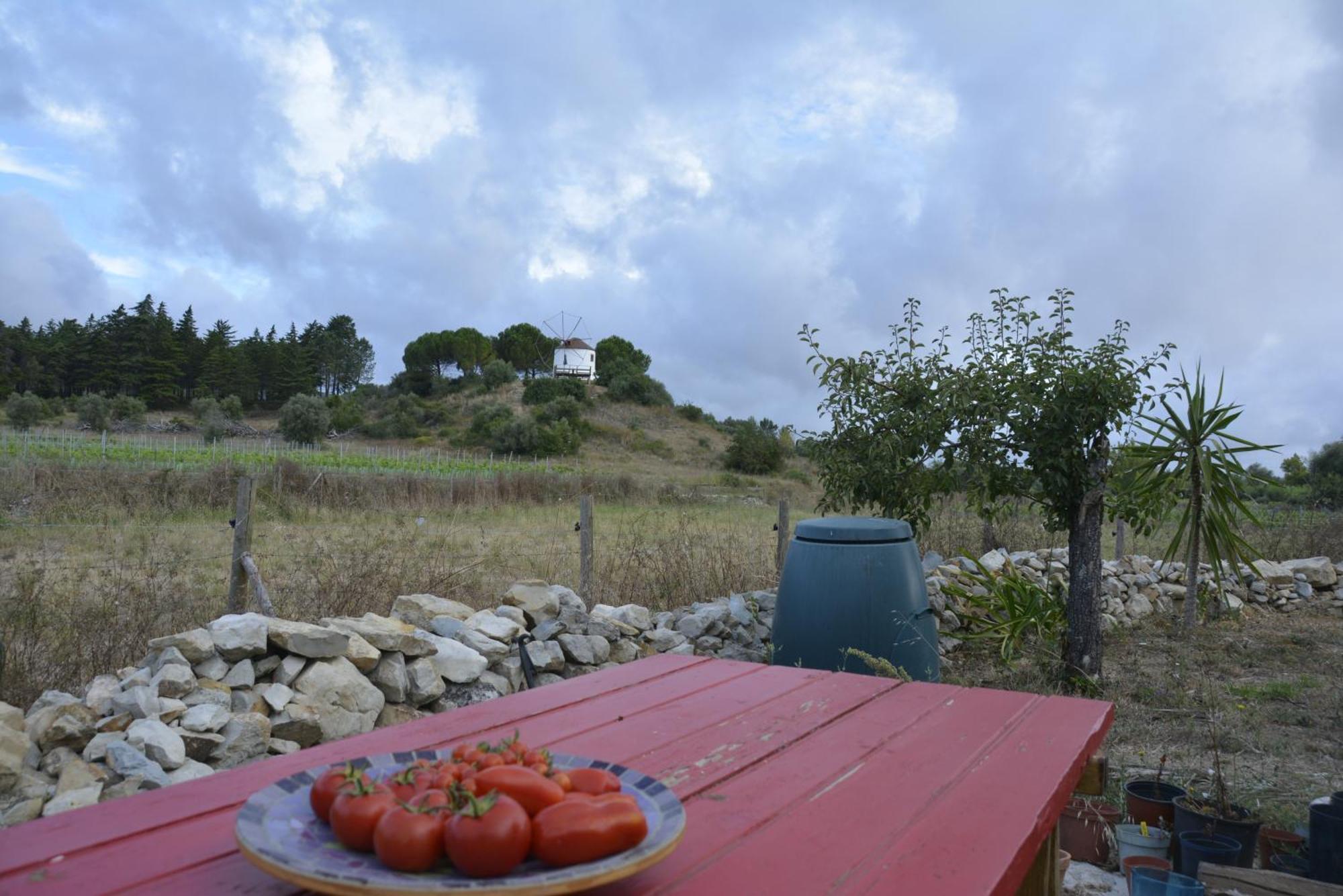 Casa Da Lima - Nestled In Nature On Santiago'S And Fatima'S Path, Close To Coimbra And Rabacal Alvorge Bagian luar foto