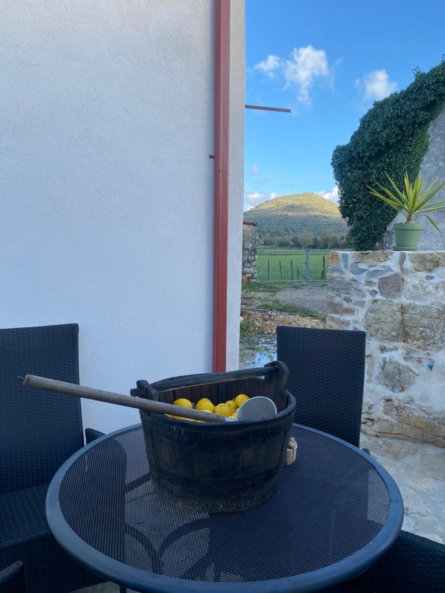 Casa Da Lima - Nestled In Nature On Santiago'S And Fatima'S Path, Close To Coimbra And Rabacal Alvorge Bagian luar foto