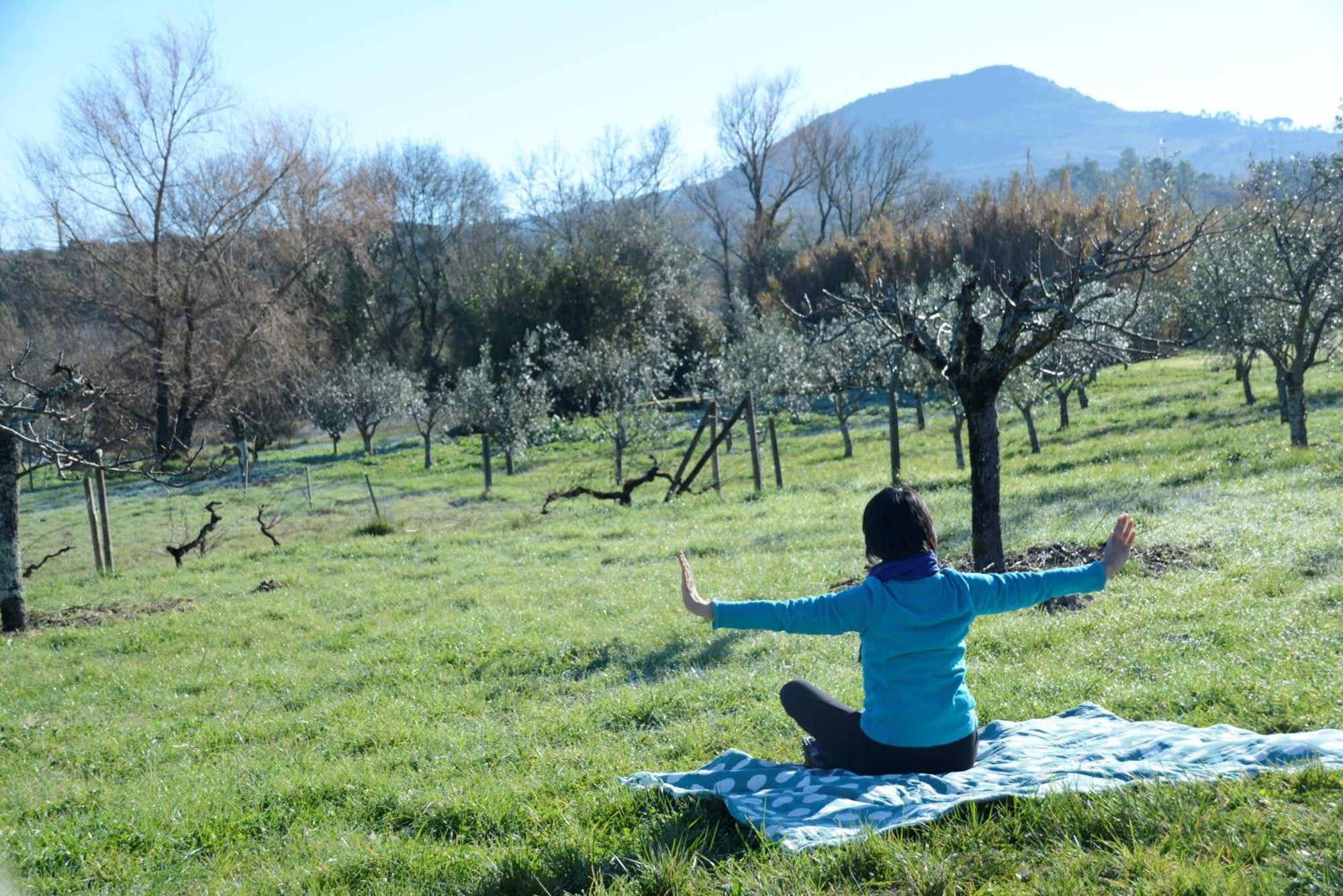 Casa Da Lima - Nestled In Nature On Santiago'S And Fatima'S Path, Close To Coimbra And Rabacal Alvorge Bagian luar foto
