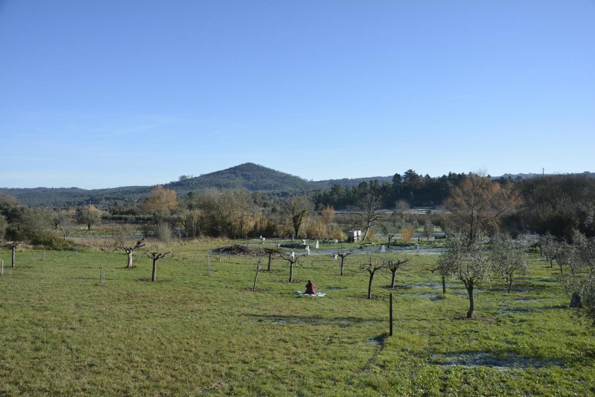 Casa Da Lima - Nestled In Nature On Santiago'S And Fatima'S Path, Close To Coimbra And Rabacal Alvorge Bagian luar foto